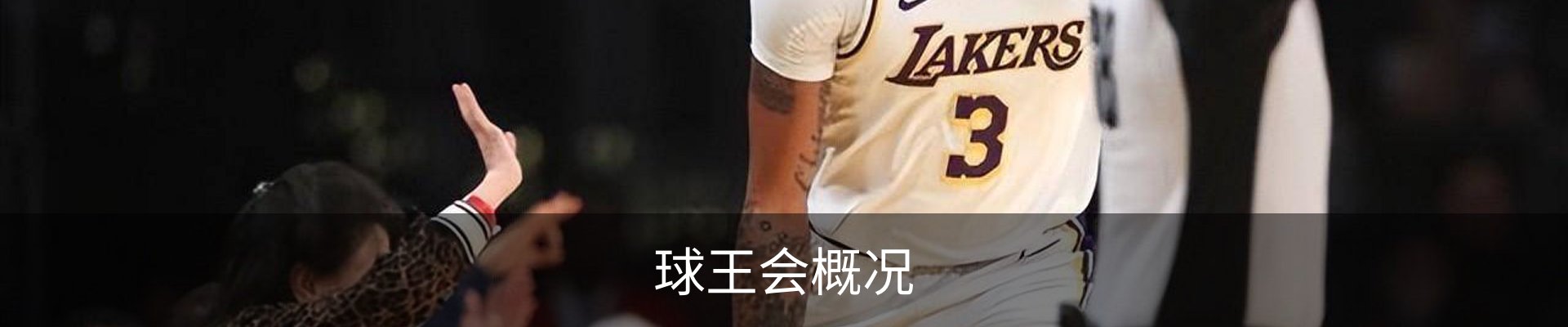 球王会概况